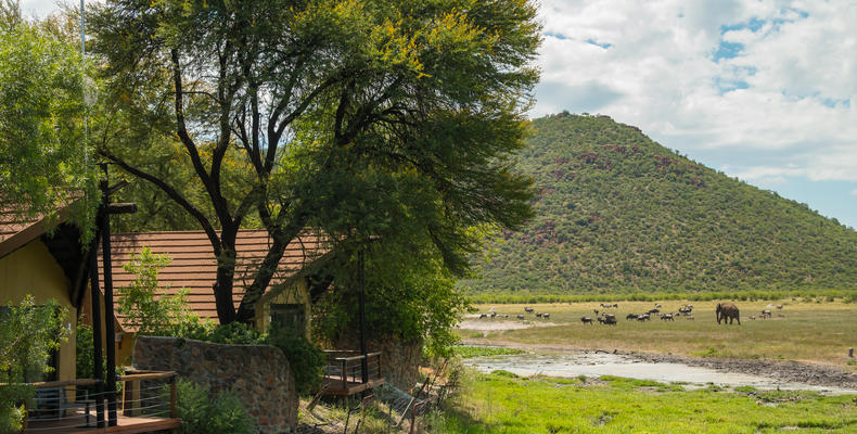 Chalets and Water