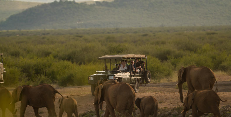 Game Drive