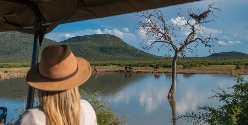Game drive at dam