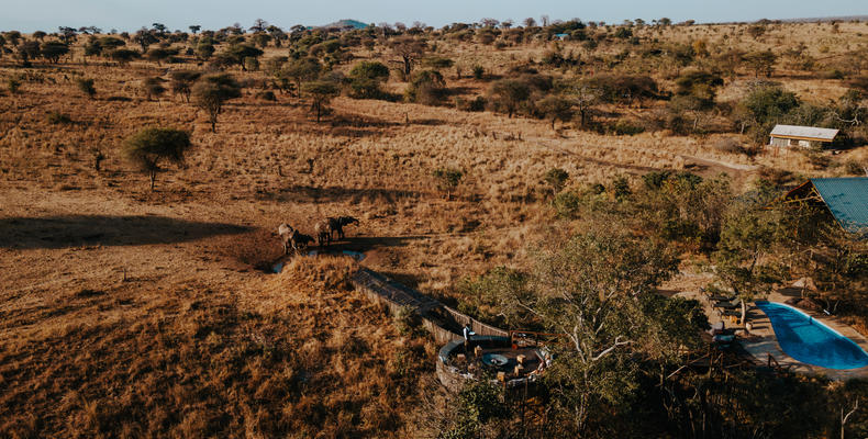 View of waterhole from above 