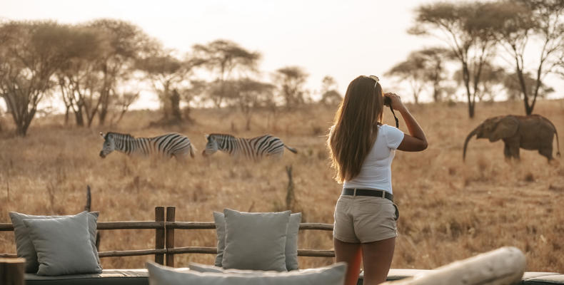 Animal spotting from Firepit area