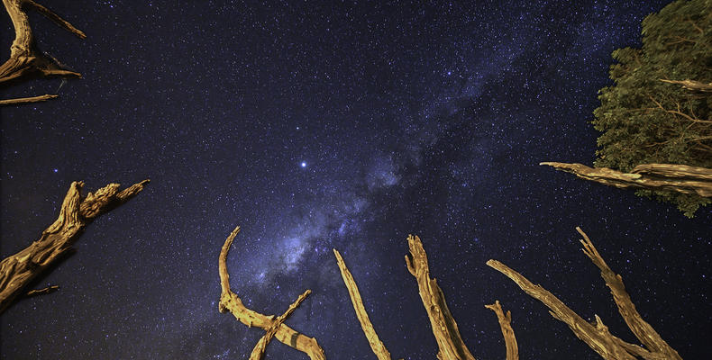 Stargazing