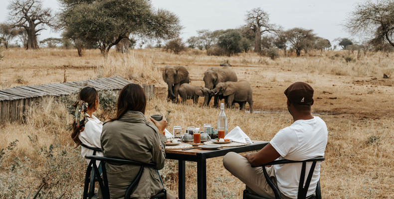 Lounge breakfast with a view.