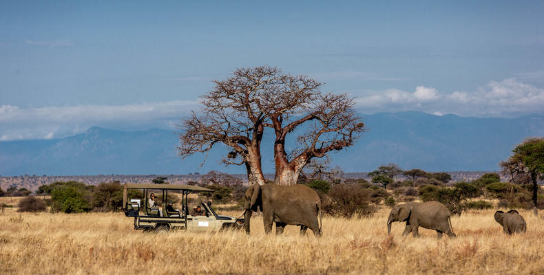 Game Drives in our private concession