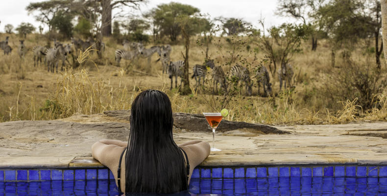Pool overlooking the waterhole