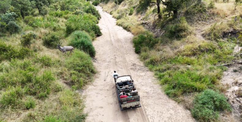 Game drive through the Manyeleti riverbed