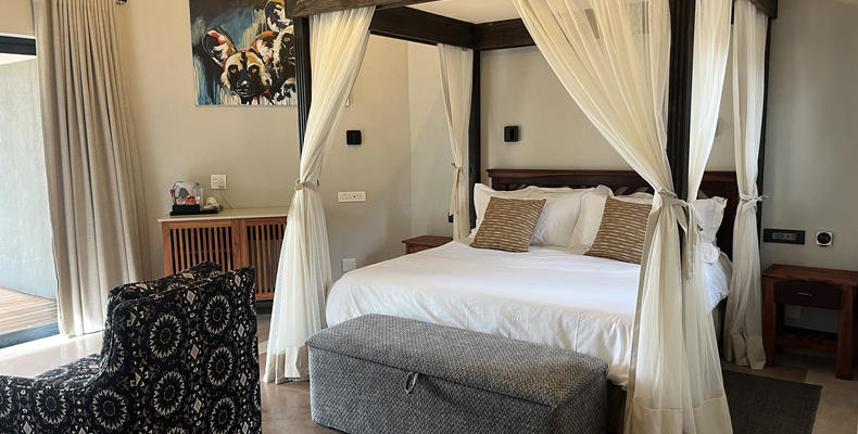 Wild Dog Safari Suite