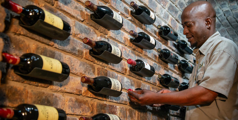 Cellar