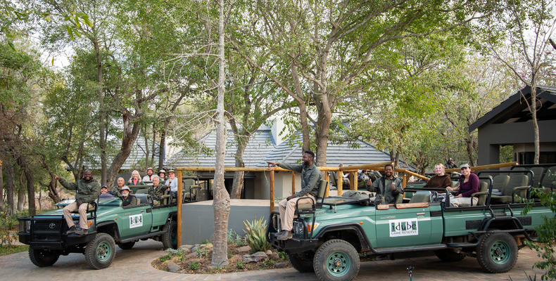 Off we go on Safari!