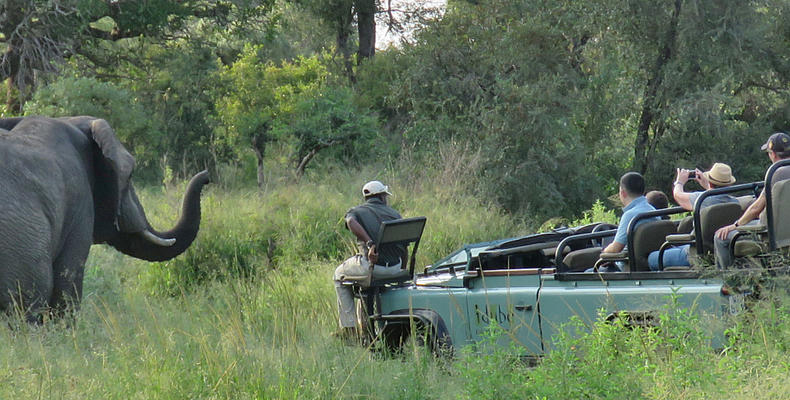 Safari / Game Drive