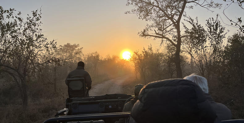 Morning Drive