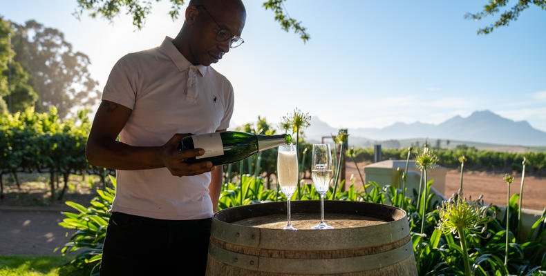 Winelands Experience