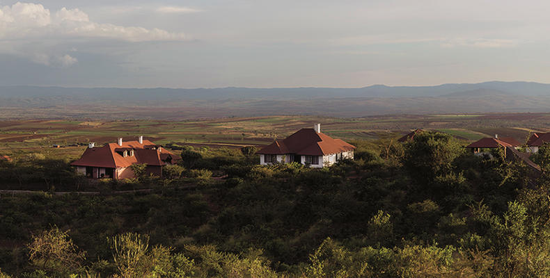 Overview