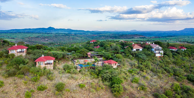 Overview
