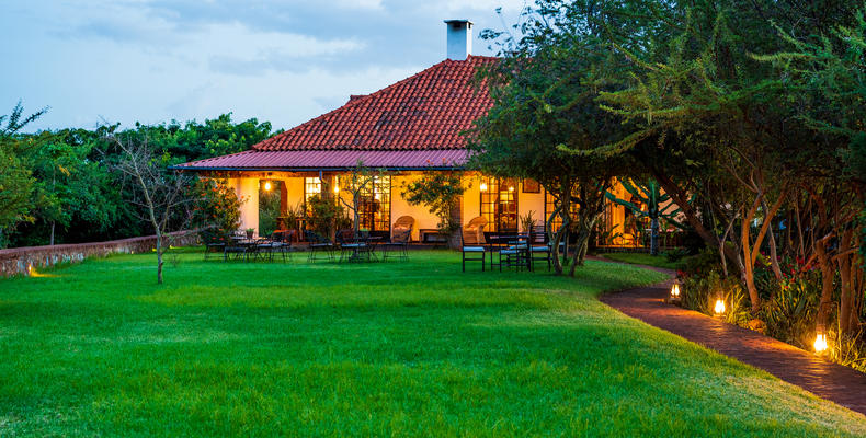 Garden