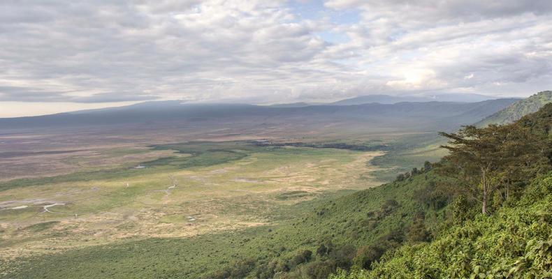 The Highlands - Ngorongoro Landscape