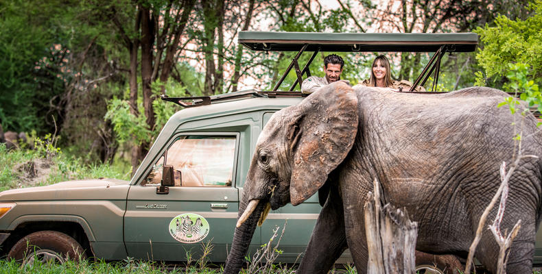 Wildlife