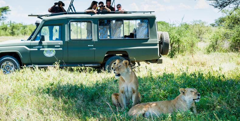 Game Drive