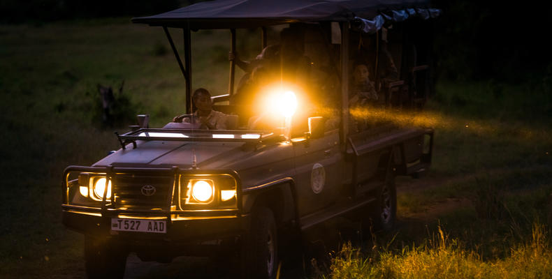 Night Safari
