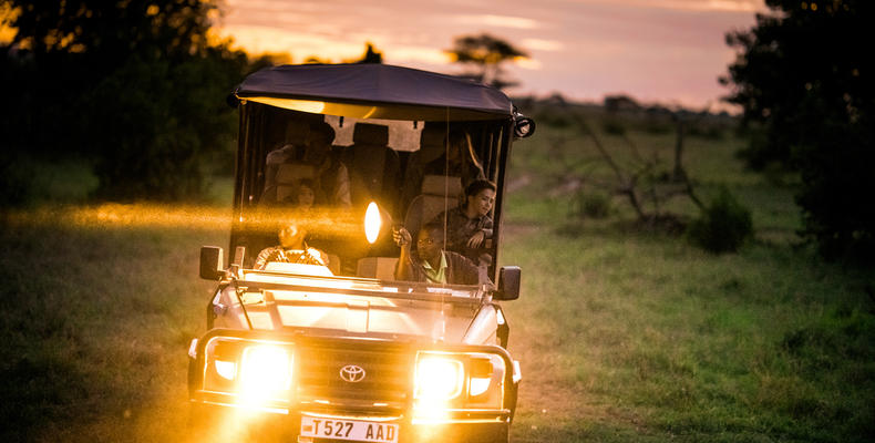 Night Safari