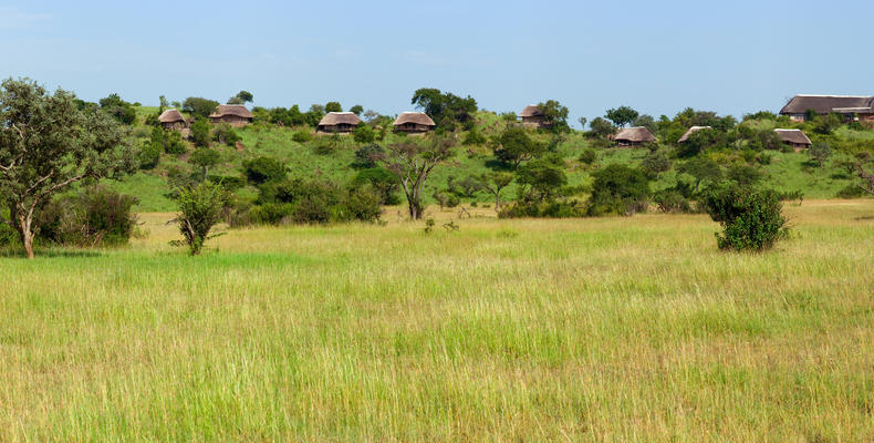 Landscape
