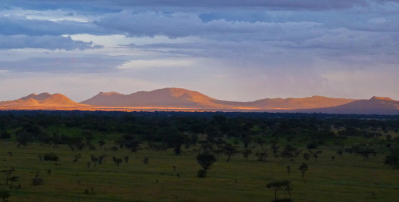 Landscape