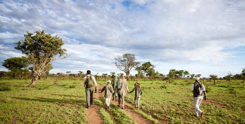 Walking Safari