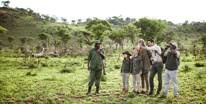 Walking Safari