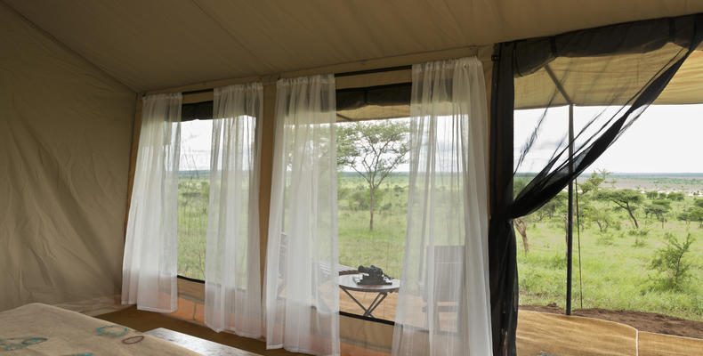 View from the bedroom