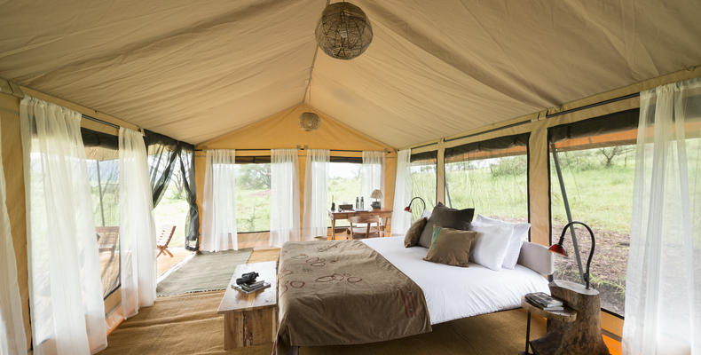 Bedroom Interior