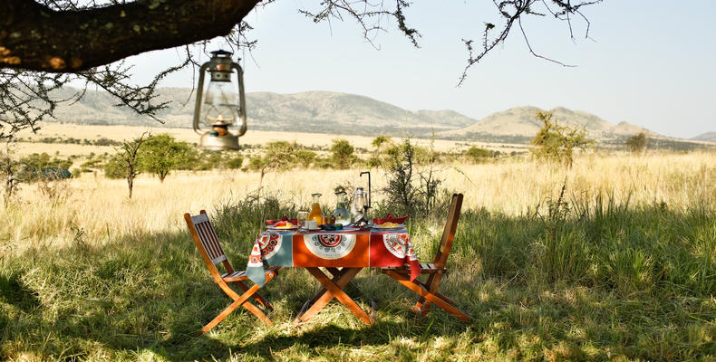 Bush Breakfast