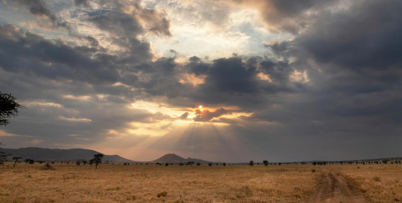 NYIKANI CAMP - CENTRAL SERENGETI - Surrounding