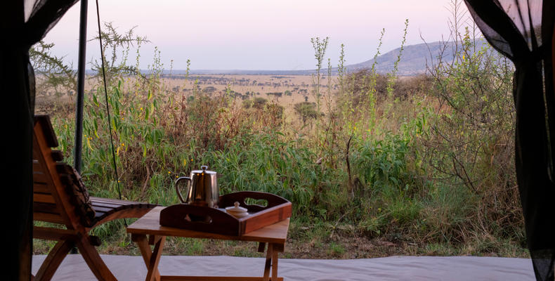 NYIKANI CAMP - CENTRAL SERENGETI - room view