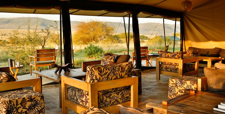 The Lounge Area