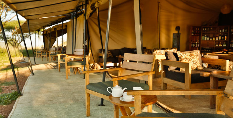 Morning Coffee on the Verandah