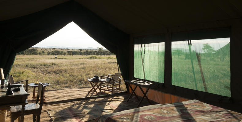 Room with a View