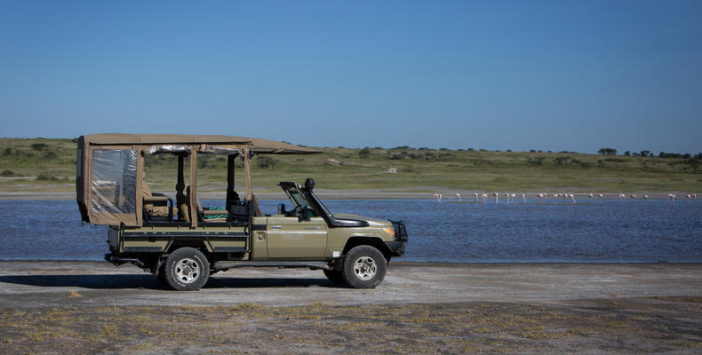 On Safari
