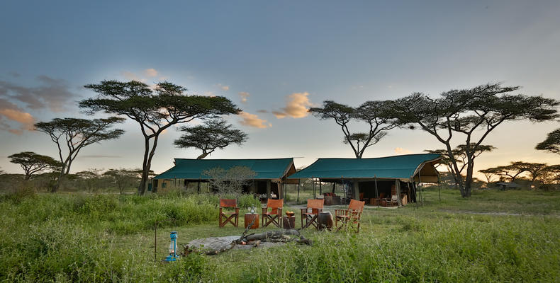 The Camp