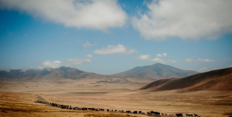 Ngorongoro highlands
