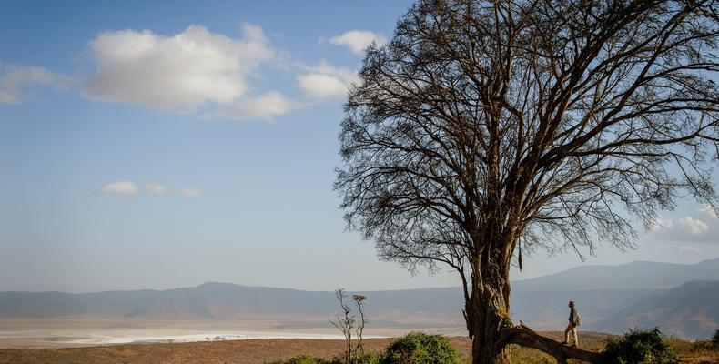 View from Entamanu Ngorongoro