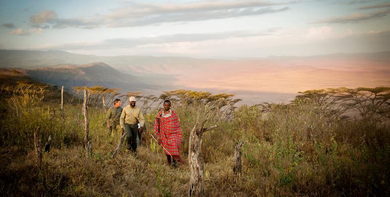 Walking safari