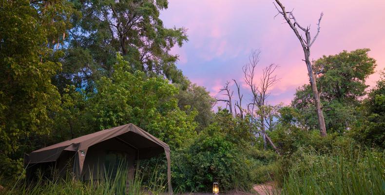Xobega guest tent under a pink sunset