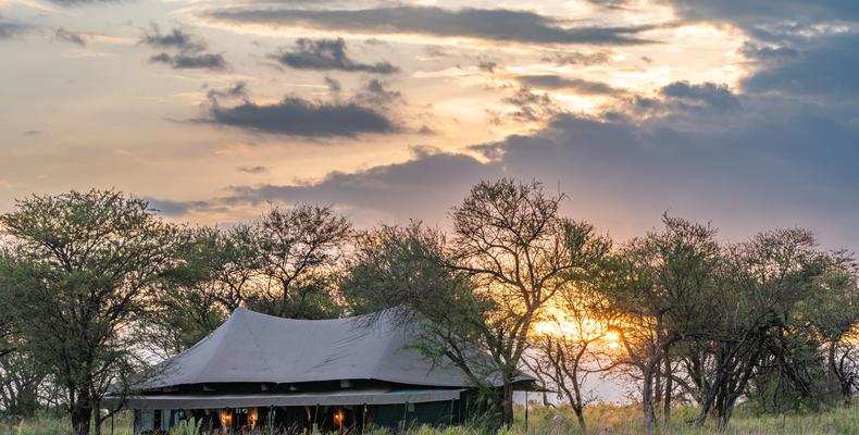 Honeymoon Tent