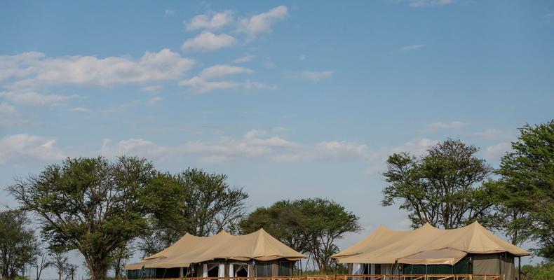 Family Inter-Connected Guest Tents