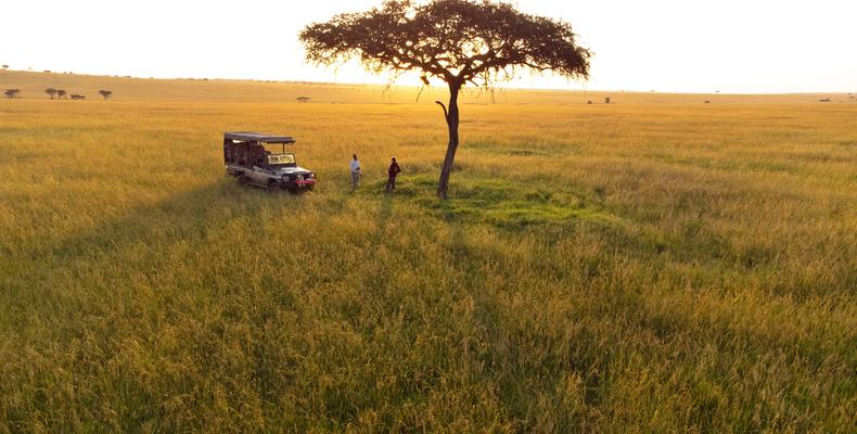 Game drive