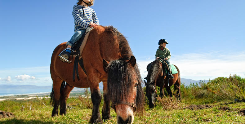 Pony Rides for Children