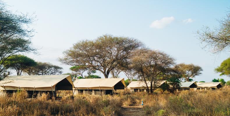 Accommodation Tents