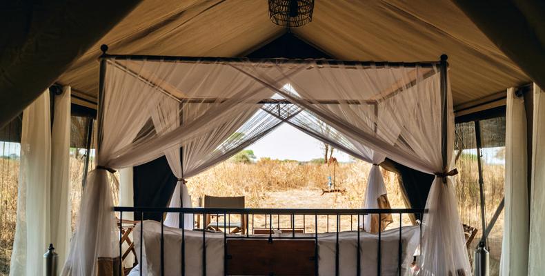 Tent View