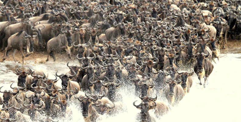 River Crossing