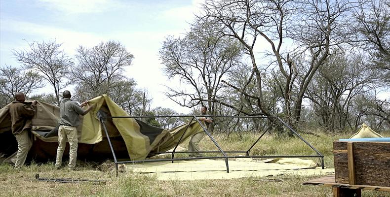 Camp Setup